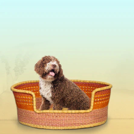 Adorable Puppy Baskets