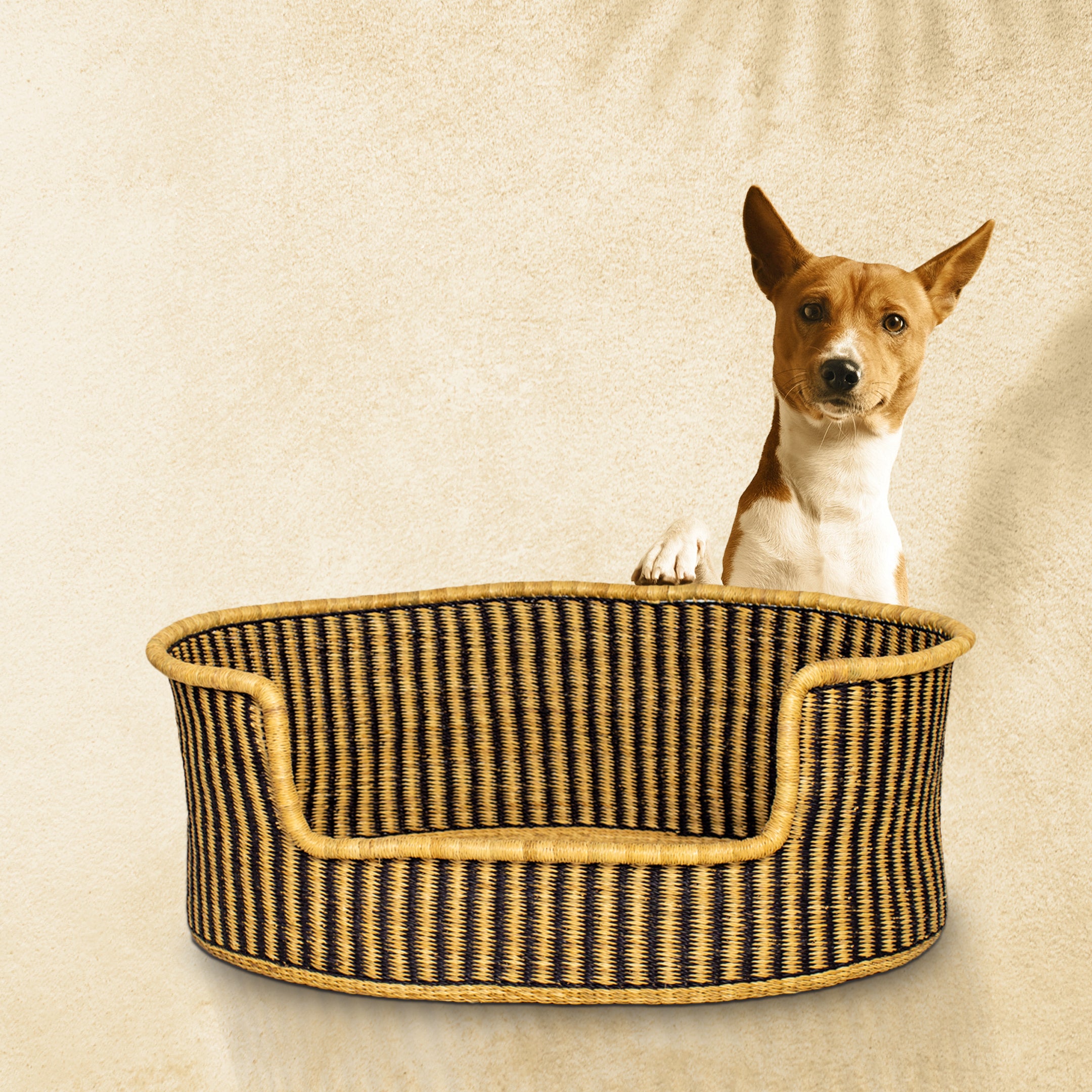 mojo hand woven dog bed