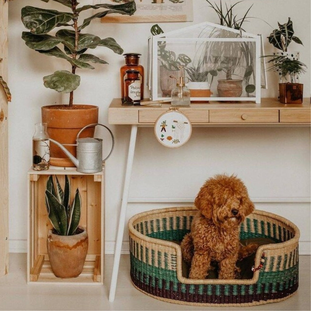 Layka Hand-Woven Dog Bed