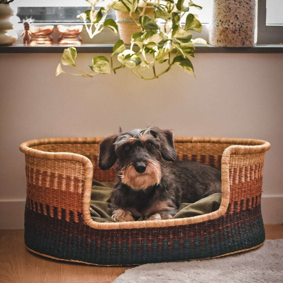 Gust Hand-Woven Dog Bed