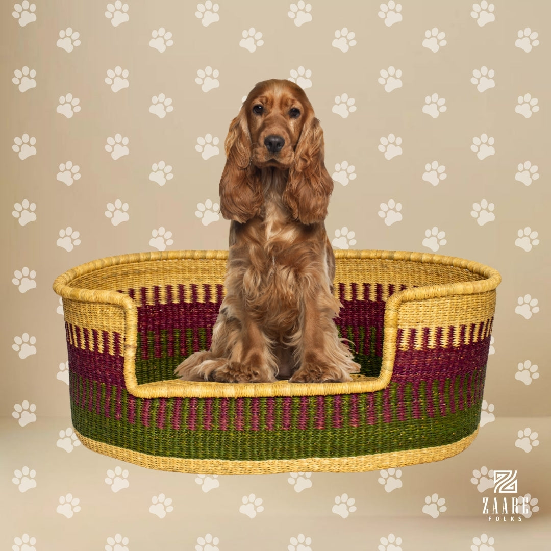 Desert Hand-Woven Dog Bed