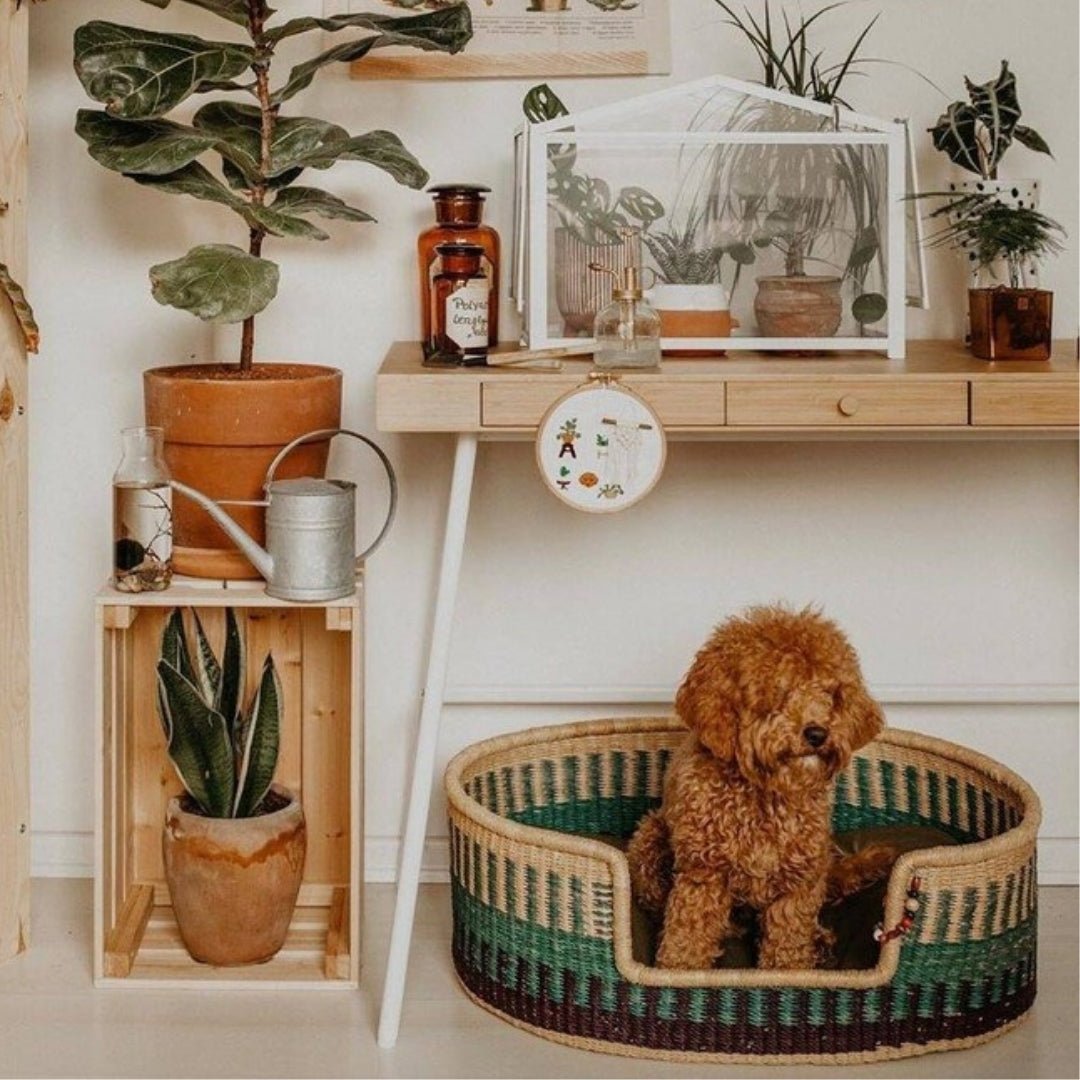 Layka Hand - Woven Dog Bed - Zaarefolks