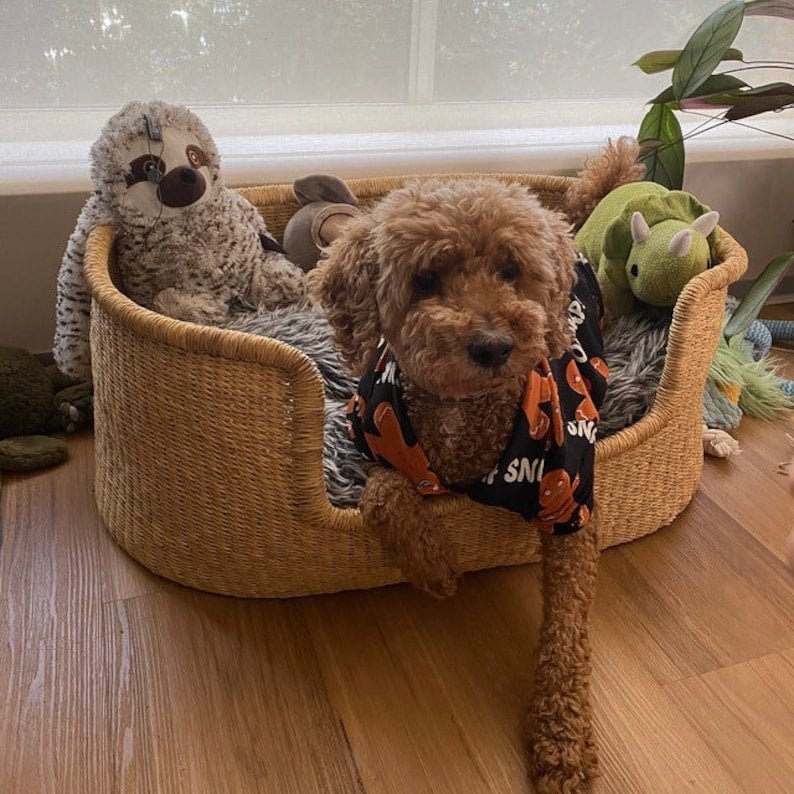 Natural Hand - Woven Dog Bed - Zaarefolks