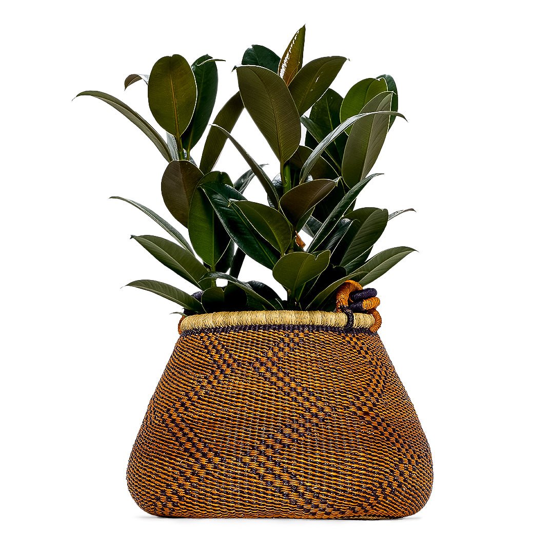 Pine Cone Hand - Woven Pot Basket - Zaarefolks
