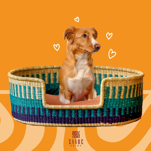 Celebrate National Pet Day with Love, Comfort & Style