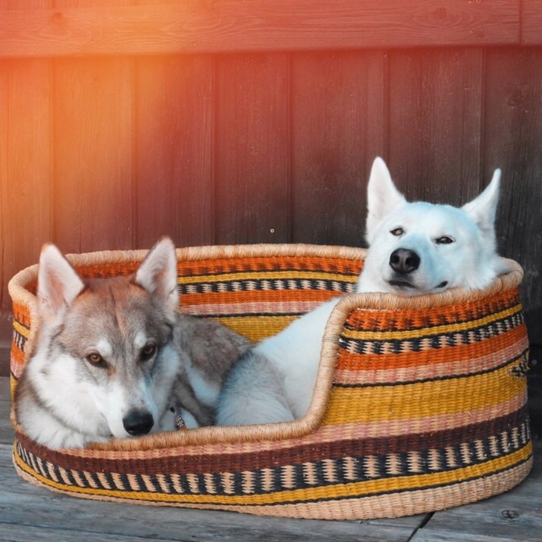 Nev Hand-Woven Dog Bed