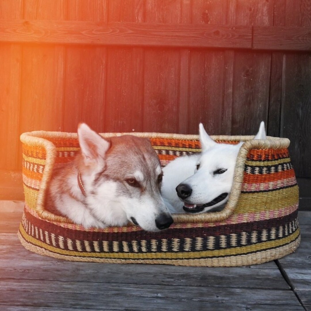 Nev Hand - Woven Dog Bed - Zaarefolks